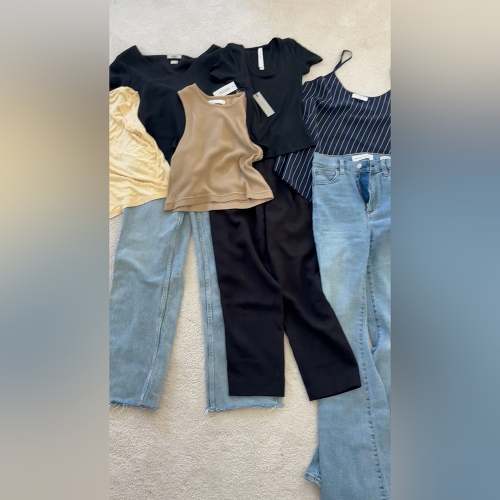 Aritzia + Zara Business Casual Clothing Bundle